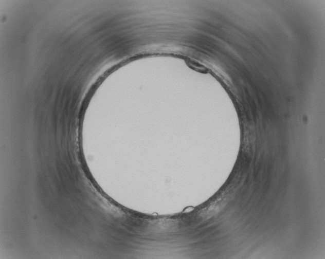 X0000062900992200602101802