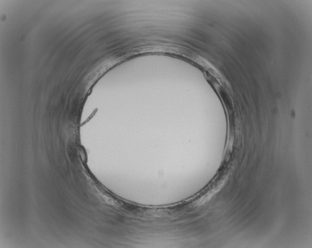 X0000062900993200602101802