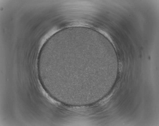 X0000062900995200602101802