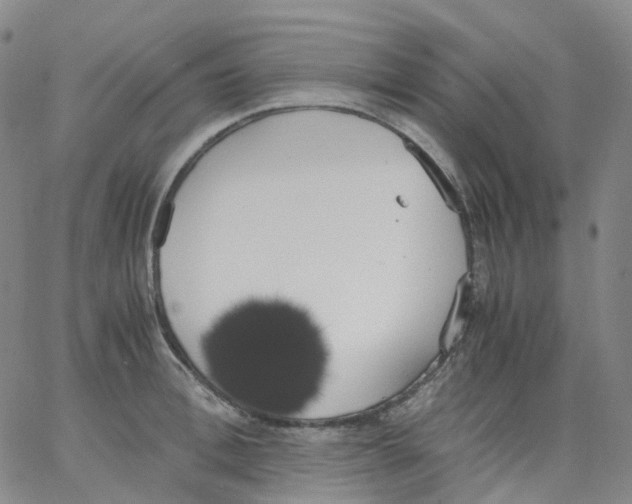 X0000062900996200602101802