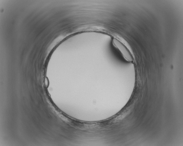 X0000062900997200602101802