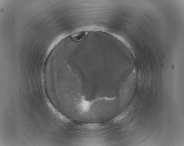 X0000062900998200602101802