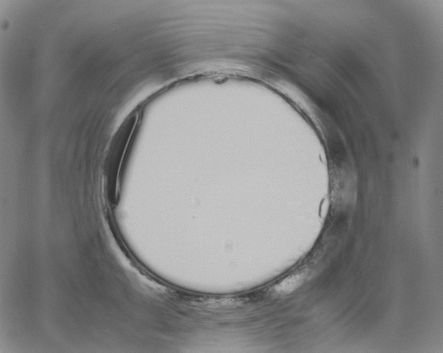 X0000062900999200602101802