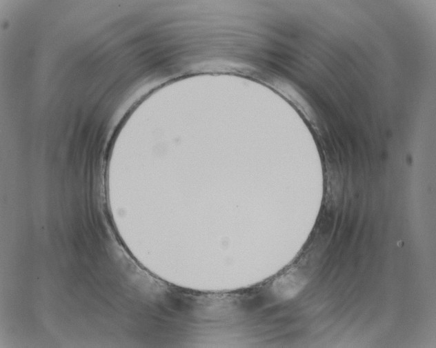 X0000062901000200602101802