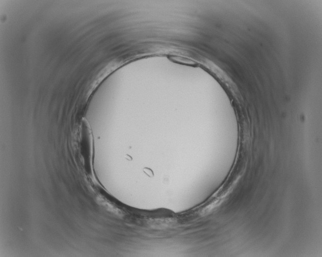 X0000062901001200602101802