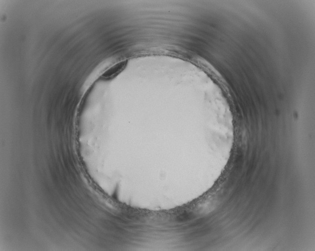 X0000062901002200602101802