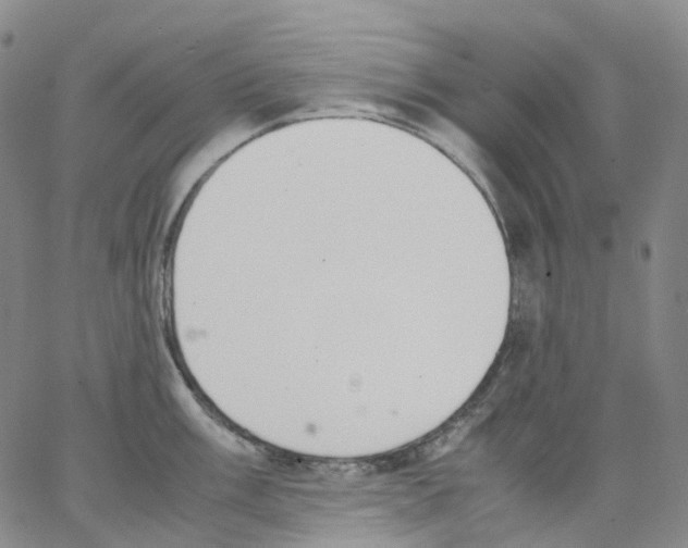 X0000062901003200602101802