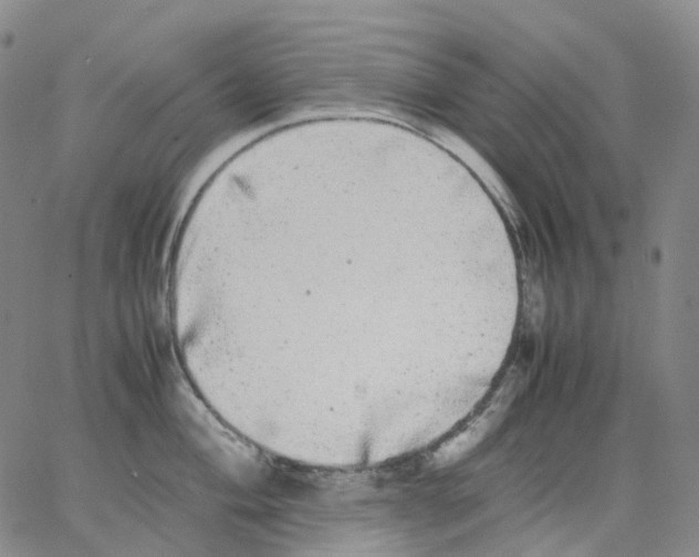 X0000062901004200602101802