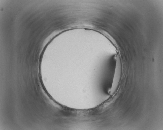 X0000062901005200602101802