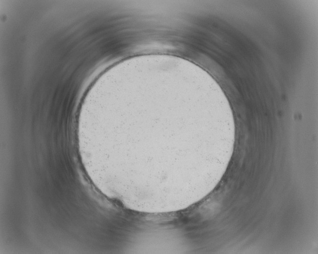 X0000062901008200602101802