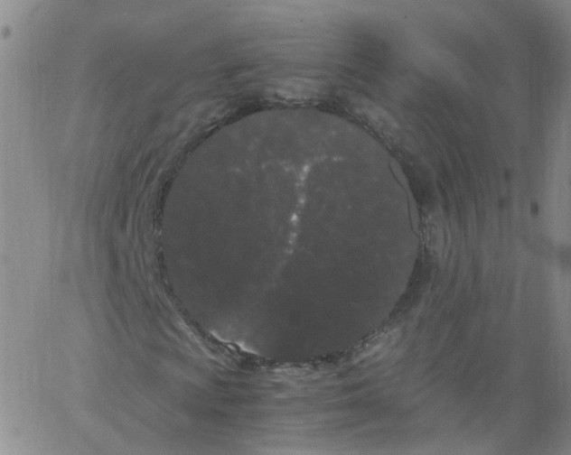 X0000062901009200602101801