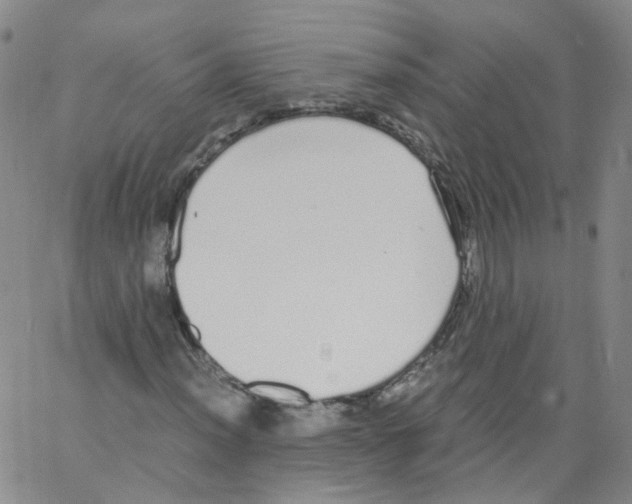 X0000062901012200602101801