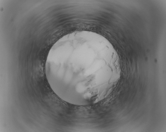 X0000062901013200602101801