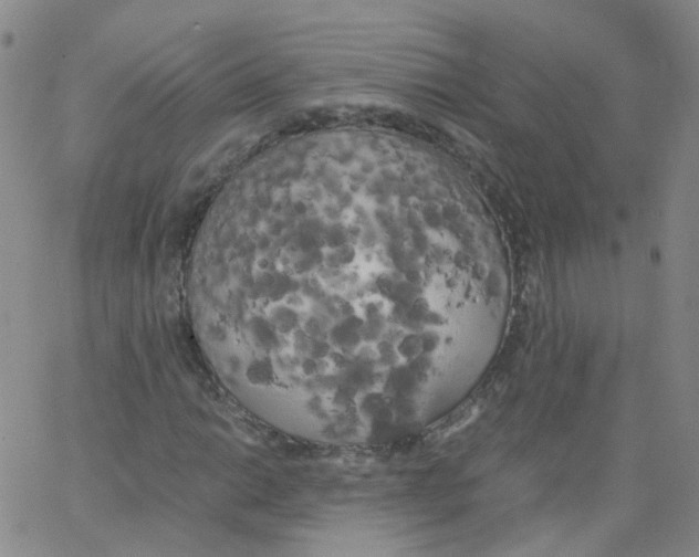 X0000062901014200602101801