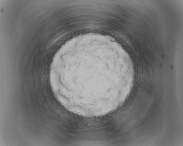 X0000062901015200602101801