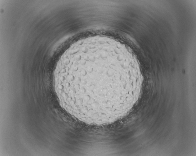 X0000062901016200602101801