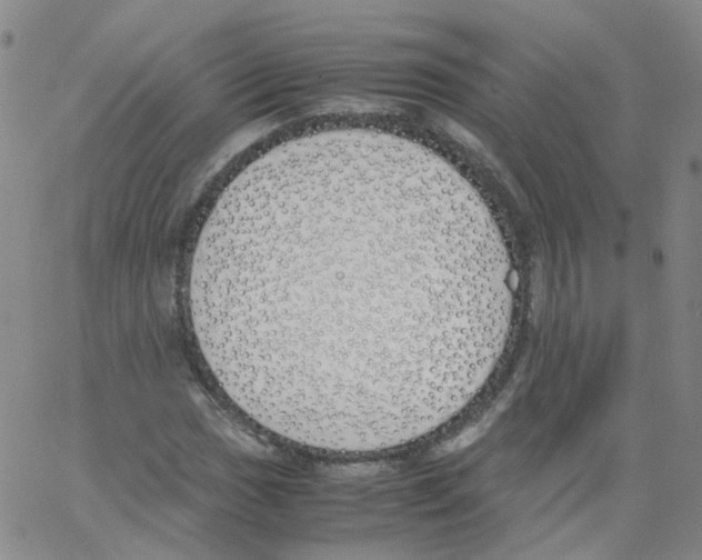 X0000062901017200602101801