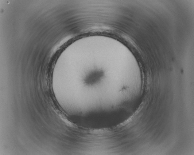 X0000062901018200602101801