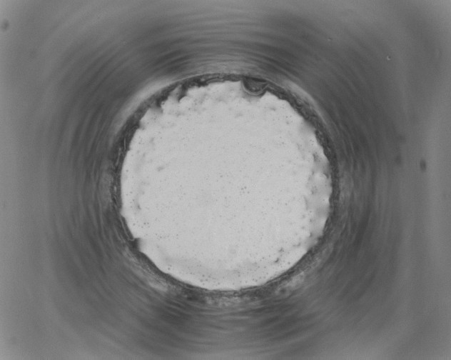 X0000062901019200602101801