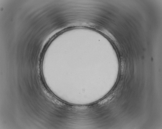 X0000062901020200602101801