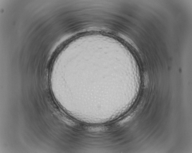 X0000062901021200602101801