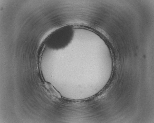 X0000062901022200602101801