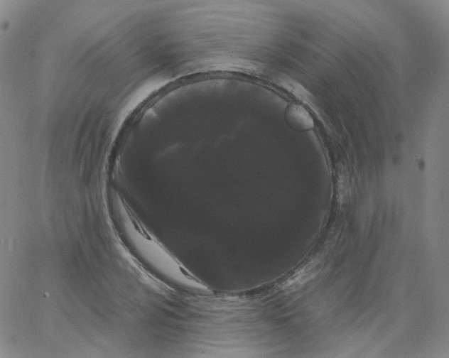 X0000062901024200602101801