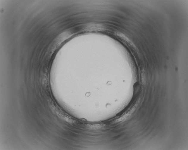 X0000062901025200602101801