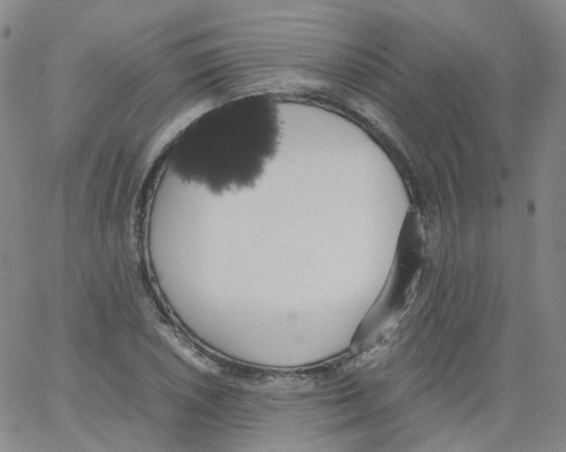 X0000062901026200602101801