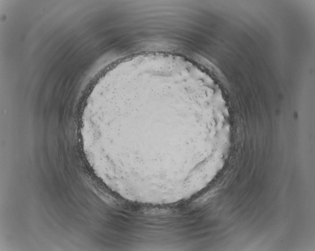 X0000062901027200602101801