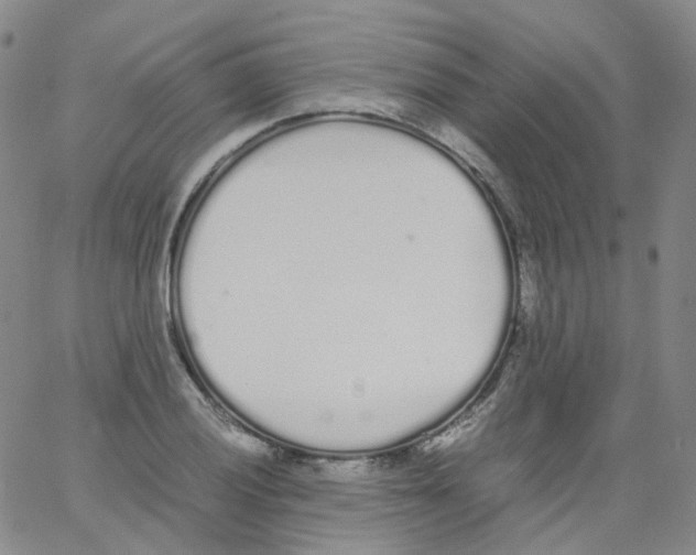 X0000062901028200602101801