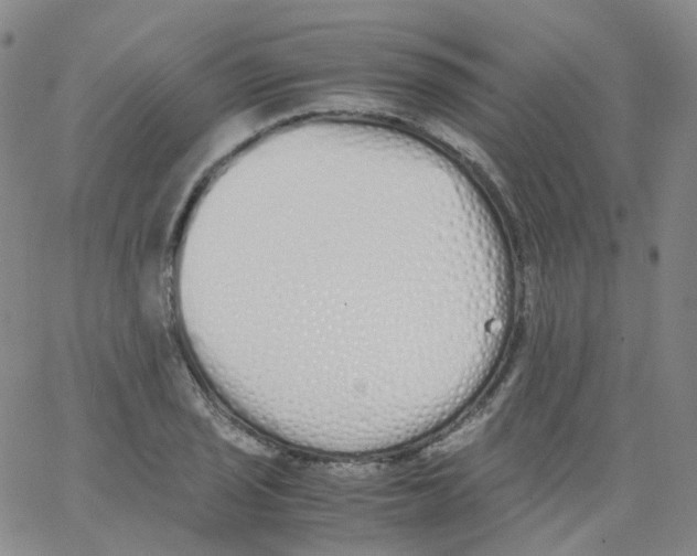 X0000062901029200602101801