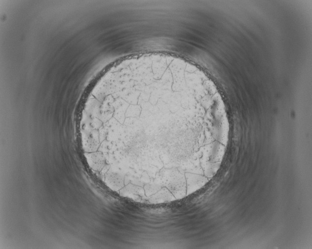 X0000062901031200602101801