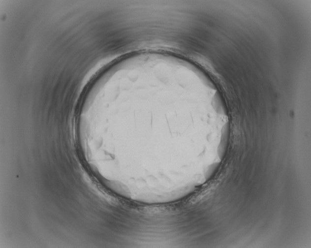 X0000062901032200602101801