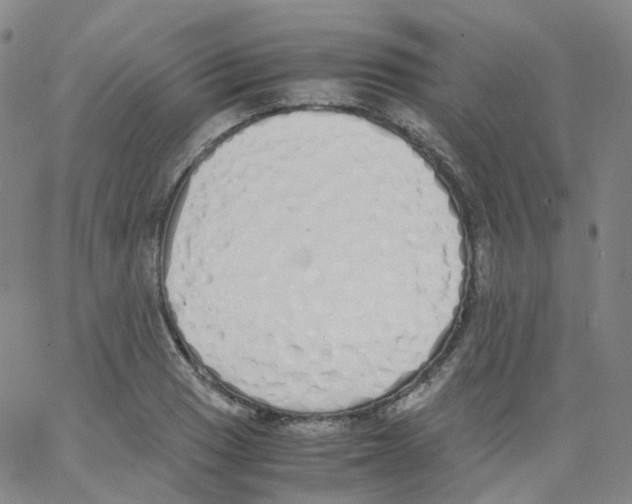 X0000062901033200602101801