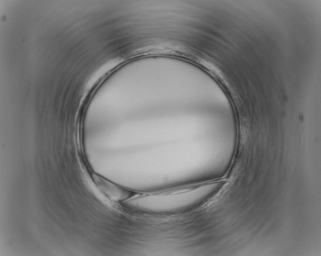 X0000062901034200602101801