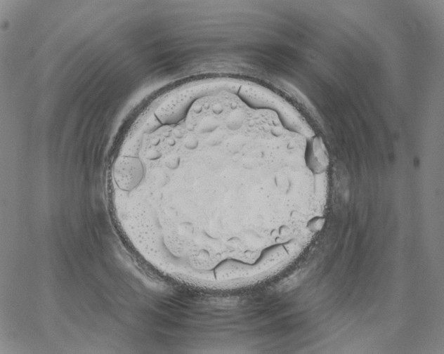 X0000062901035200602101801