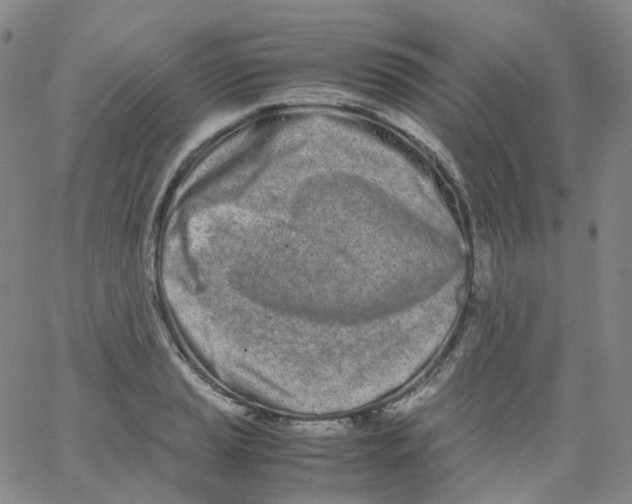 X0000062901037200602101801