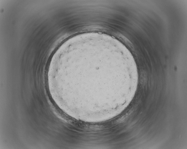 X0000062901039200602101802