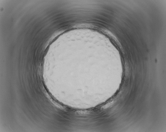 X0000062901041200602101802