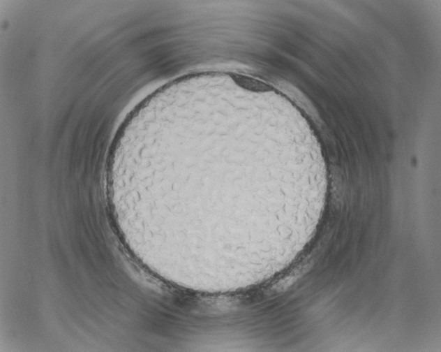 X0000062901044200602101802