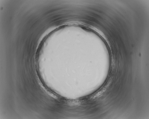 X0000062901045200602101802