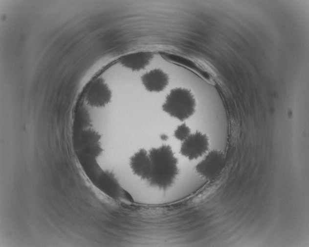 X0000062901046200602101802