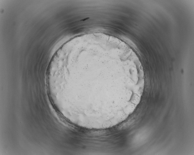 X0000062901047200602101802