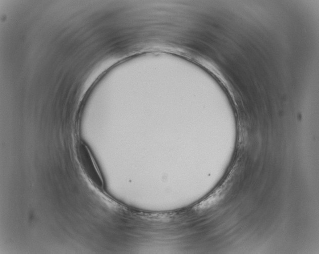 X0000062901048200602101802