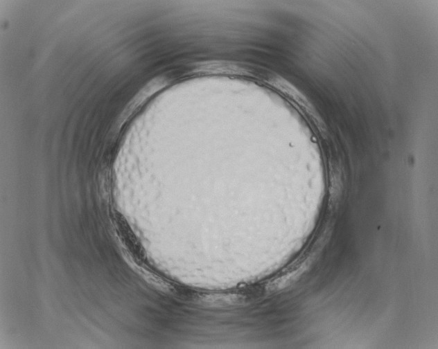 X0000062901049200602101802