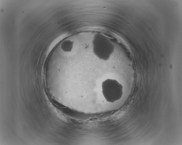 X0000062901050200602101802