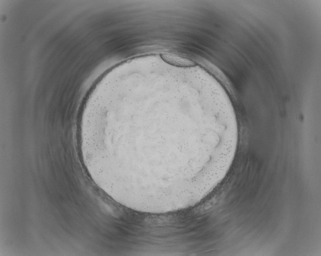 X0000062901051200602101802