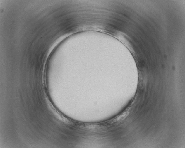 X0000062901052200602101802