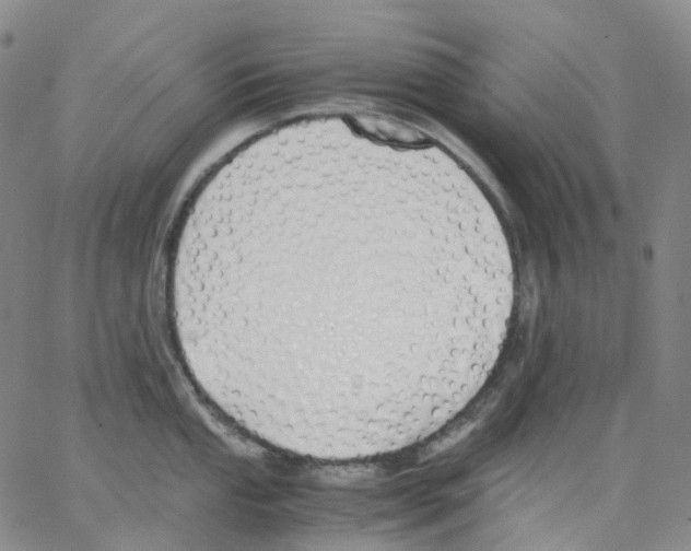 X0000062901053200602101802